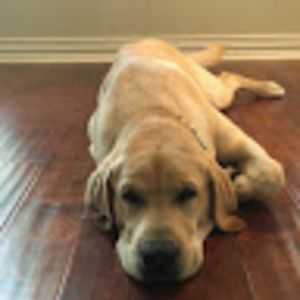 Meet your Posher, Elijah